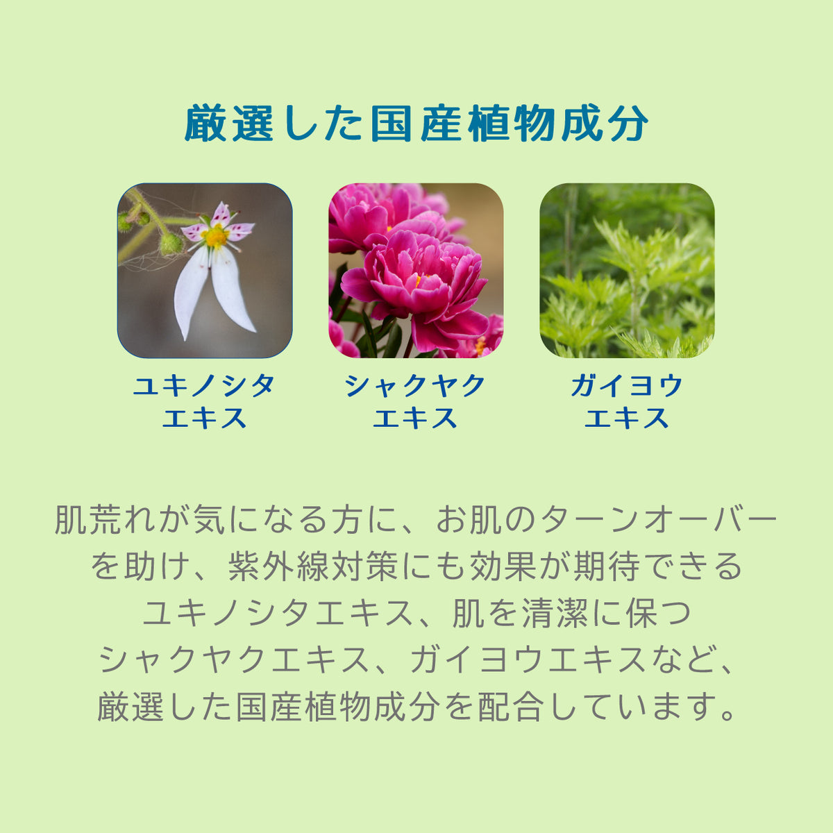 モイスチャークリーム ビャクダン 75g お守りクリーム