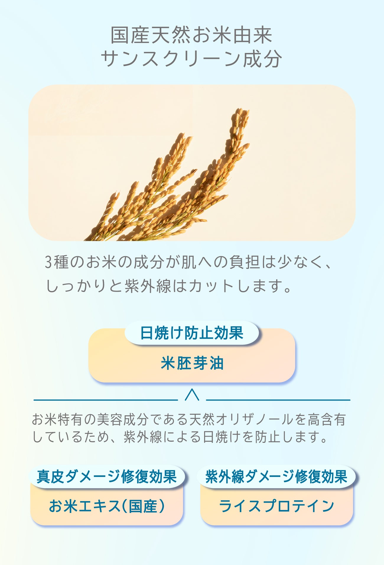 ビューテロンド Withfam トーンアップUVクリーム SPF50+ PA++++ 無香料