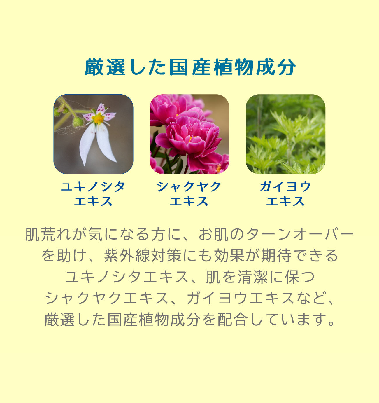 ビューテロンド Withfam モイスチャークリーム ゆず 75g