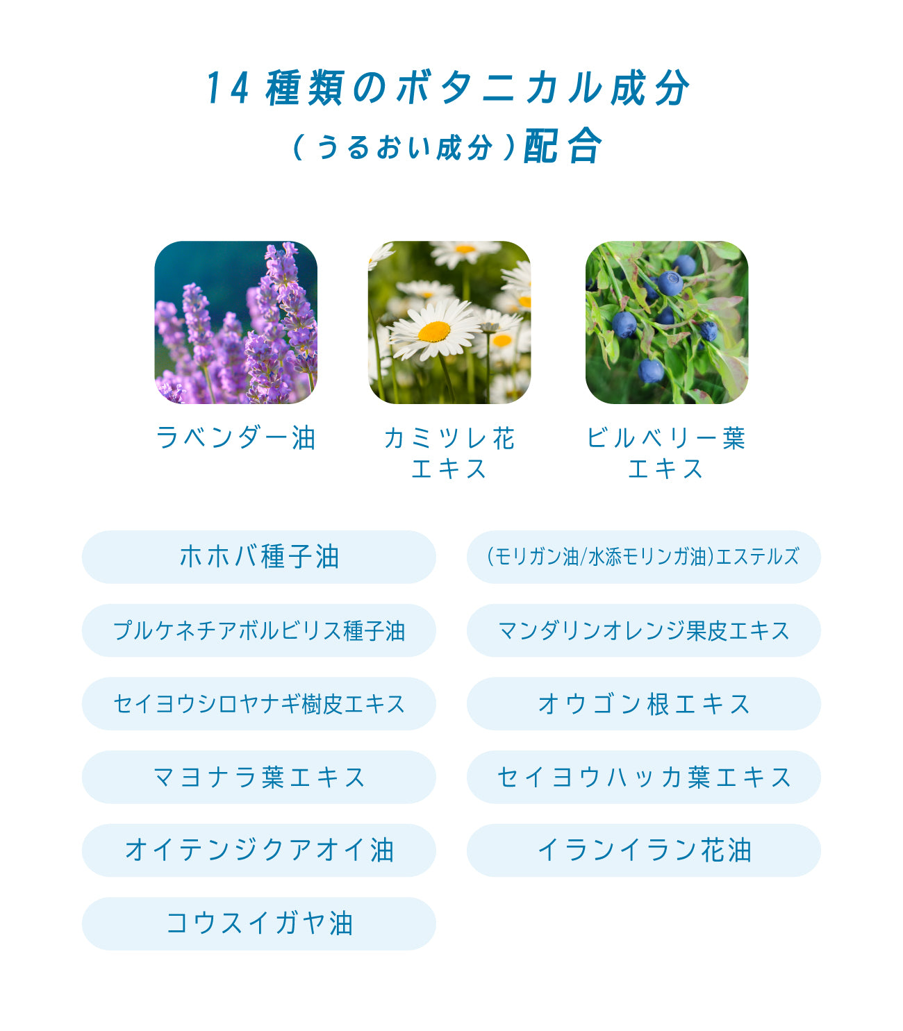 ビューテロンド Withfam UVスティック ハーブ 15g