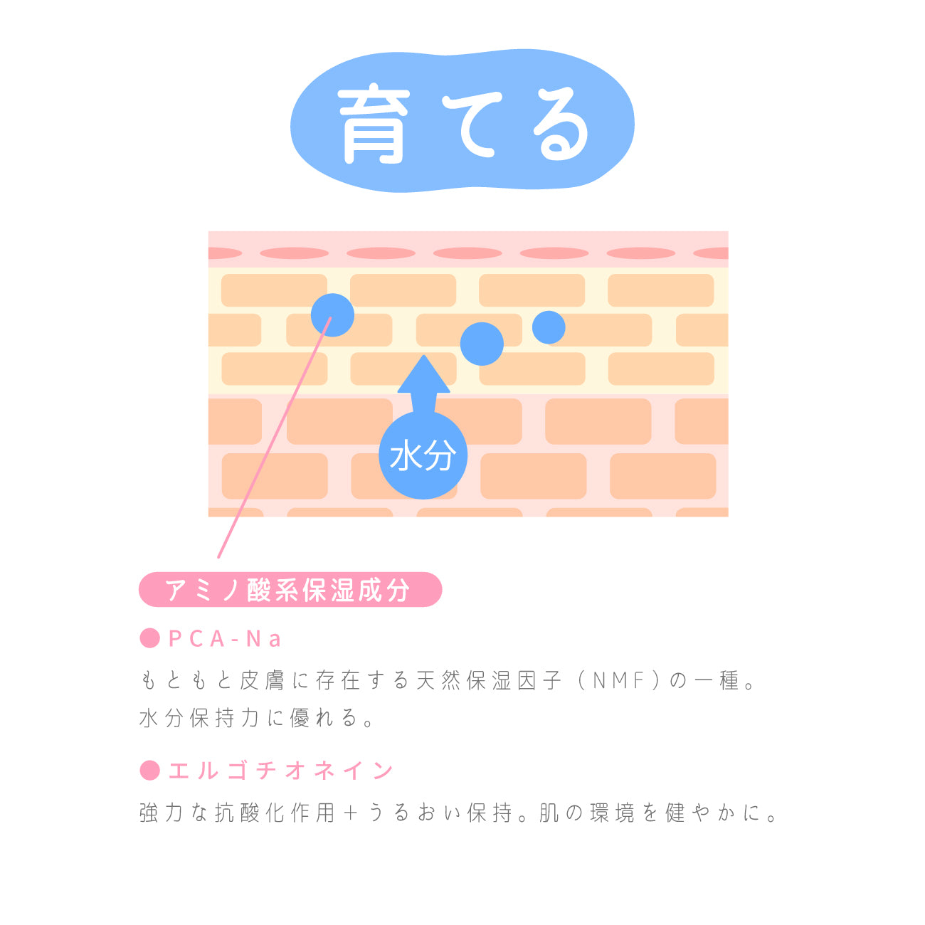 ビューテロンドWithfam こめりん保湿フォーム
