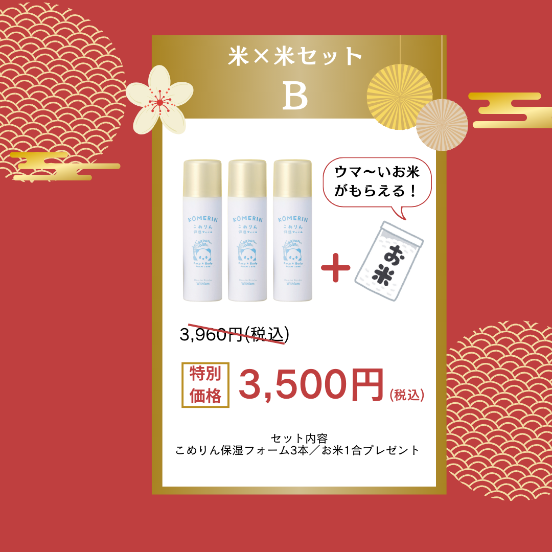 新春!米×米セット【残りわずか!】
