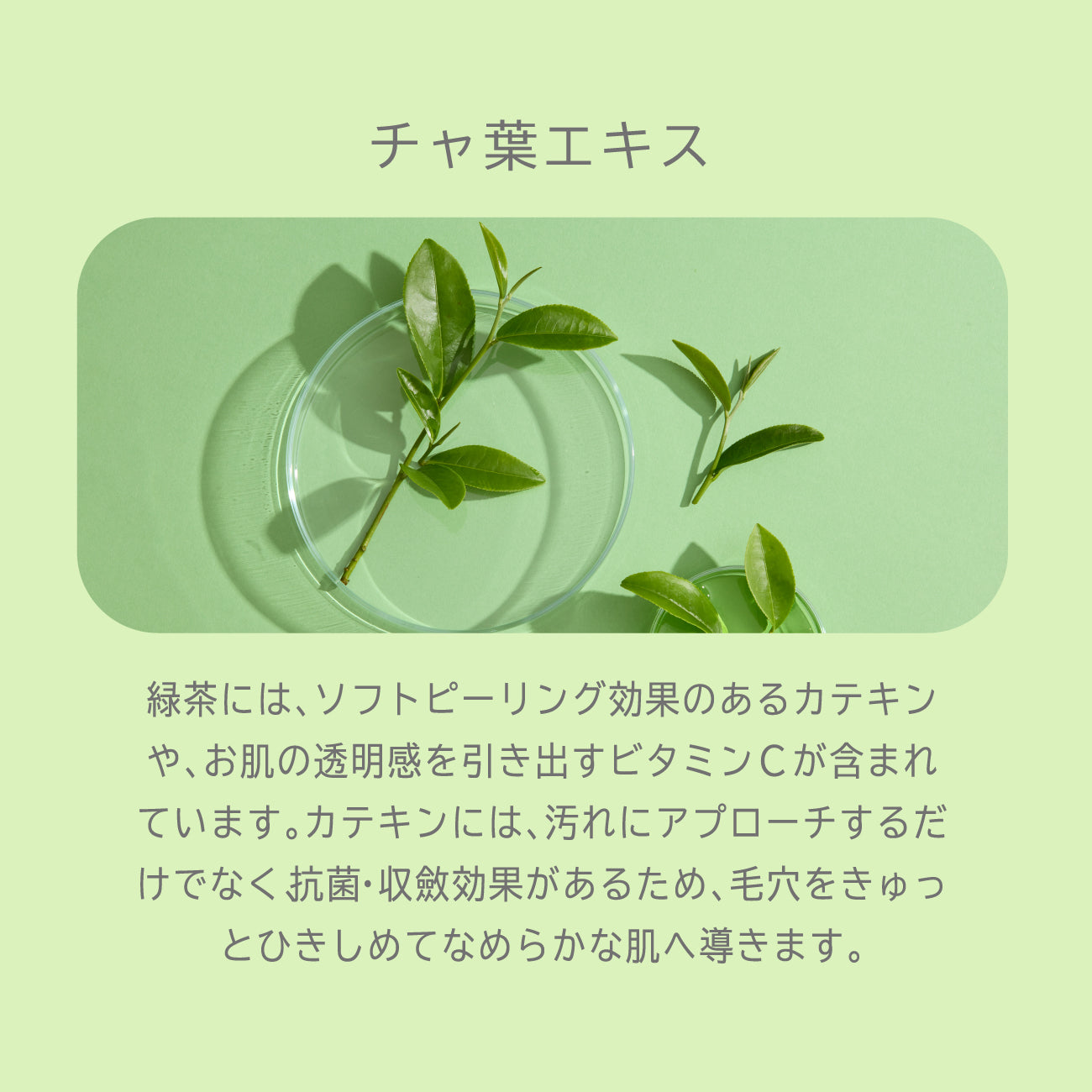 ビューテロンドWithfam モイスチャークリーム　ビャクダン