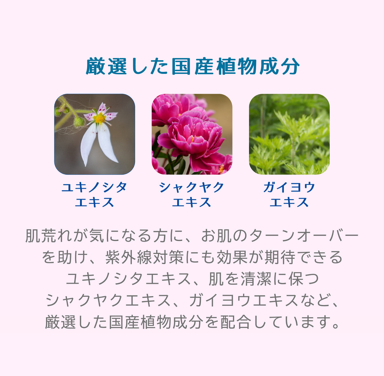 ビューテロンド Withfam モイスチャークリーム サクラ 75g