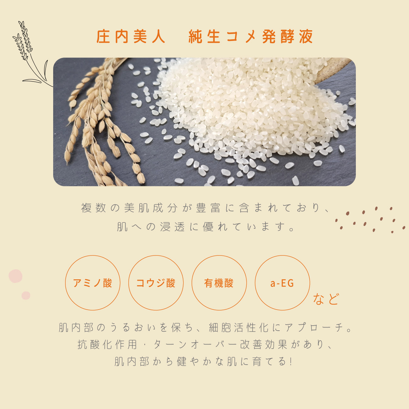 ビューテロンドWithfam　こめりん保湿フォーム